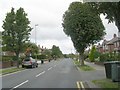 Corporation Street - viewed from Wynyard Drive