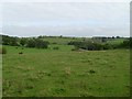 Across the fields to Westerfield Road