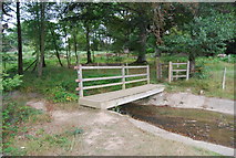 TQ5735 : Tunbridge Wells Circular Path  crosses a footbridge by the small lake, Eridge Park by N Chadwick