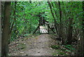 TQ5634 : Footbridge in Forge Wood by N Chadwick