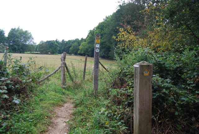 Waymarkers for the Tunbridge Wells Circular Path, Forge Wood