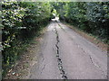 TQ1230 : Subsidence on road to Lane End Farm by Dave Spicer