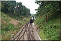 Spa Valley Line near Groombridge