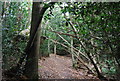 Tunbridge Wells Circular Path - near the top of Groombridge Hill, Beech Wood