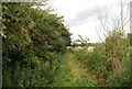 Tunbridge Wells Circular Path north of Top Hill Farm