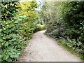 Footpath to Denton