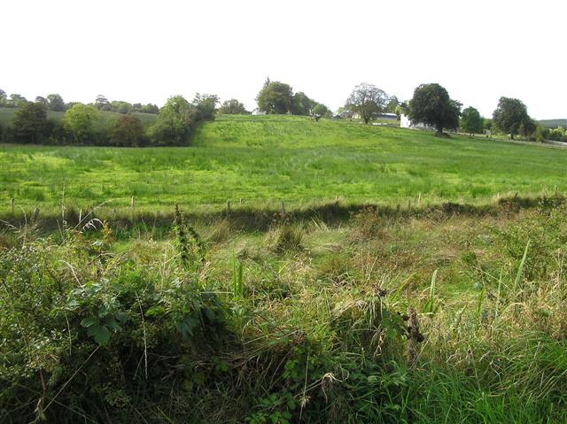 Donagh Townland
