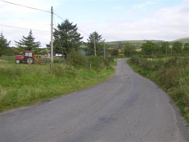Road at Cherrybrook