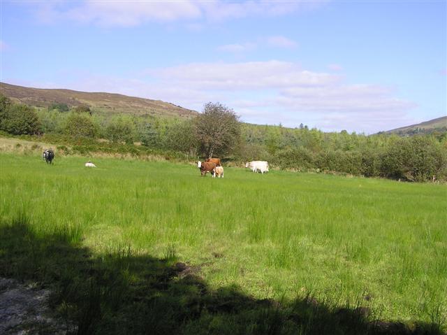 Mullanyduffy Townland
