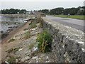 Whitecliff, sea wall