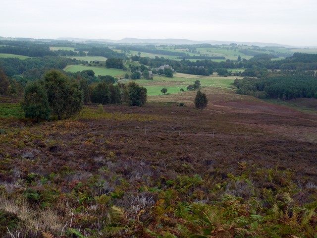Moorland above Harbottle