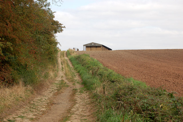 Track and bridleway north of Bascote Lodge (2)