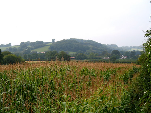 Farmland near Langaller Farm