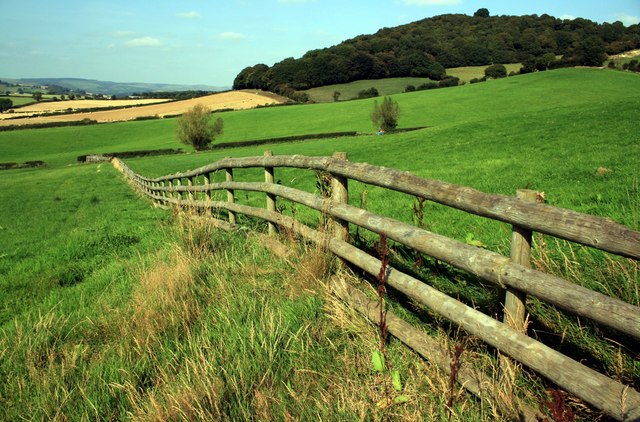 Wooden fence near View Wood