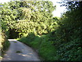 Yet another footpath junction at Bulverton