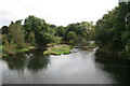 River Stour, Blandford Forum