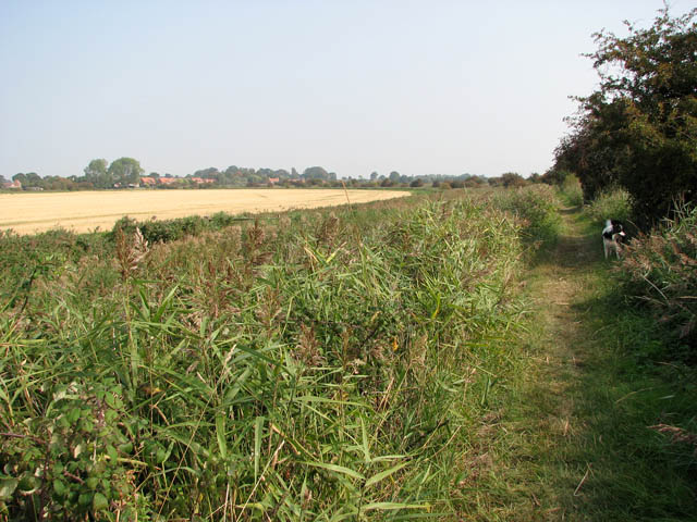 Footpath along the River Bure