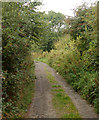 County unclassified road in Napton village