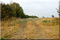 Looking through a gap in the hedge east of Southam