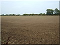 Farmland, Leconfield Grange