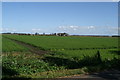 SD3410 : View from Carr Moss Lane across the carrot fields by David Long