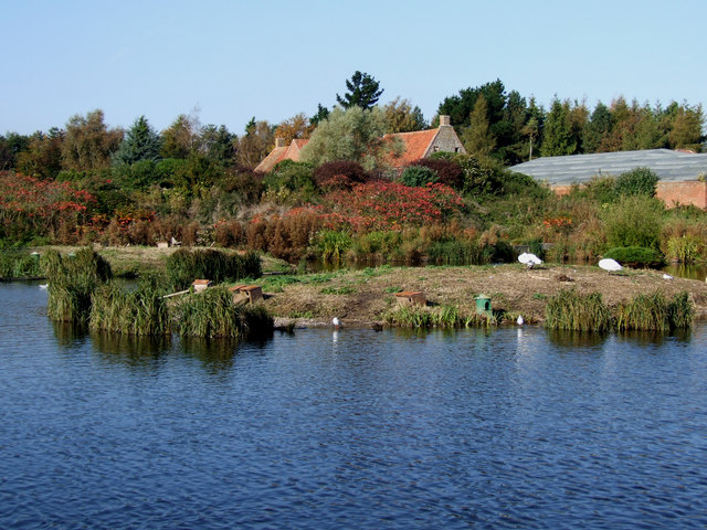 Pensthorpe Waterfowl Park