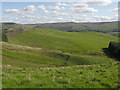 SN7675 : Fields of Pwllpeiran farm by Nigel Brown