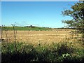 NZ4235 : Harvested wheat field and straw bales by Roger Smith