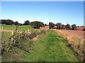 NZ4234 : Track alongside Red Barns Farm by Roger Smith