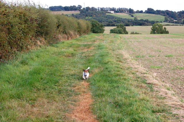 Farm track southeast of Flecknoe