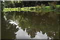 Reflections on the Monmouthshire & Brecon Canal