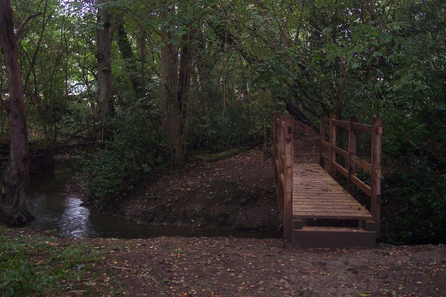 Footbridge in Birch Wood (2)
