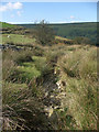 Dry stream bed adjacent to Cynonville-Caerau byway