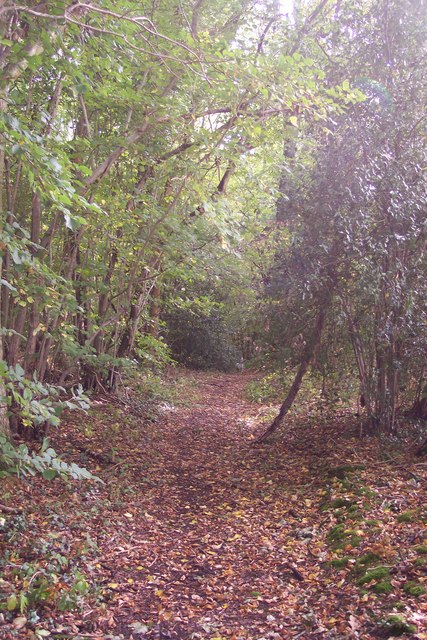 High Weald Landscape Trail in Dibley Shaw
