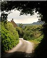 Kitchens Lane