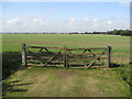 Theddlethorpe - Farmland opposite All Saints Church