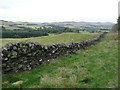 Splendid dry stone wall