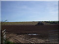 Ploughing in progress, Westnewton