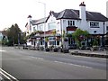 The Vine Tree, Frome