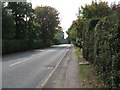 View south along Littleworth Lane towards Partridge Green