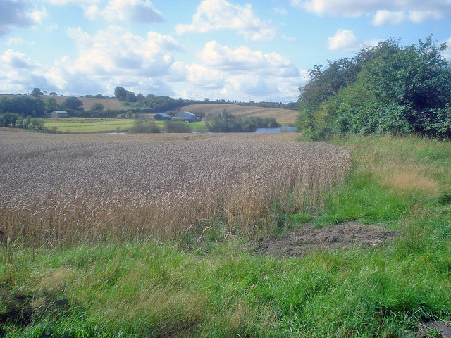 Arable land and pond near Lowlands Farm
