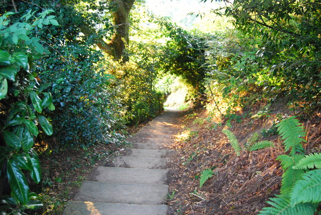 Steps, Footpath to Crockham Hill