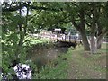 River Trent in Bucknall Park