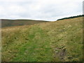 NU0920 : Bridleway above Harehope Farm by Les Hull