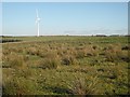 Rough grazing, Avonhead