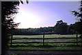 Field by the footpath near Chartwell