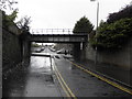 Railway bridge at the Tunnel