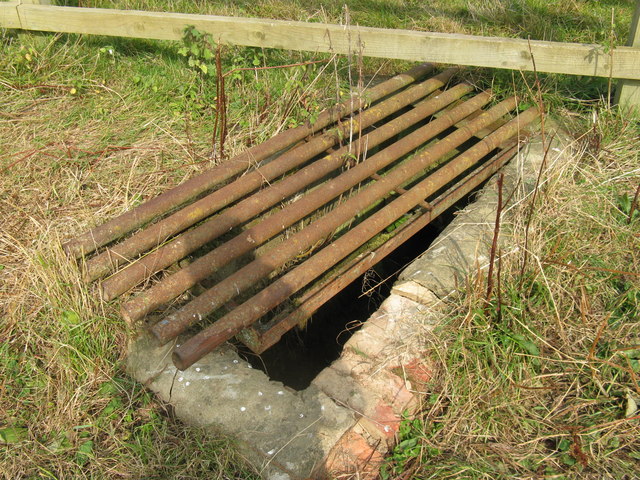 Grill covering open ditch
