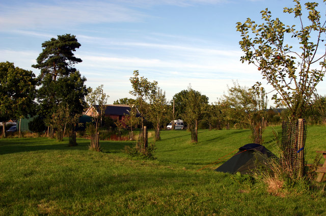 Camping field at Lower Porthamel Farm