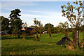 Camping field at Lower Porthamel Farm